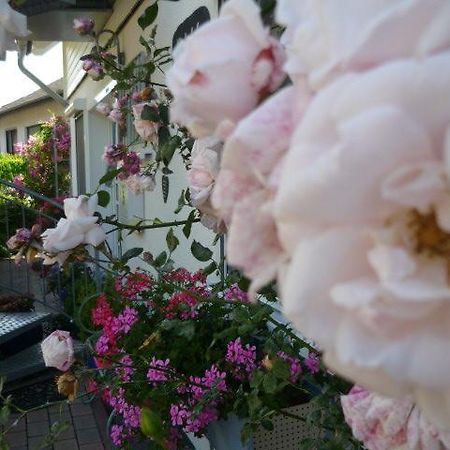 Gastehaus Rosengarten Im Nahetal Kirn Εξωτερικό φωτογραφία